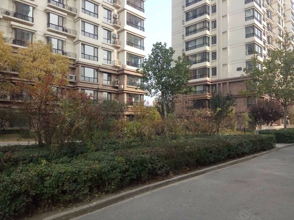 帝景豪庭(丰润)户型图实景图片