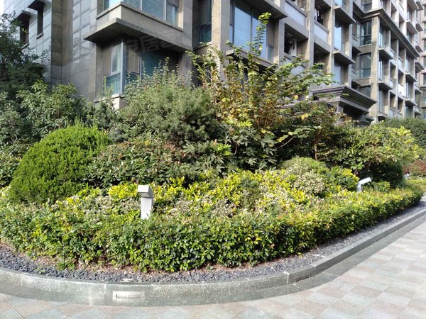 中洋高尔夫公寓,黄海大道-海安中洋高尔夫公寓二手房,租房-海安安居客