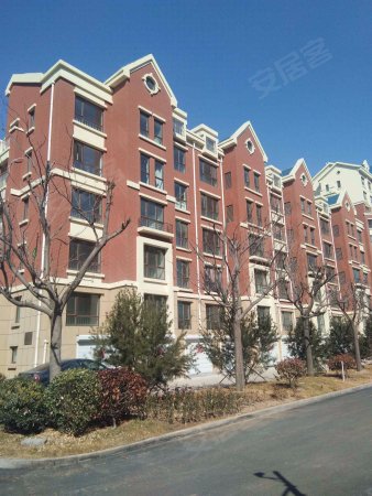 兴源巴黎城 一手房 繁华地段 交通便利 户型通透全明 性价高