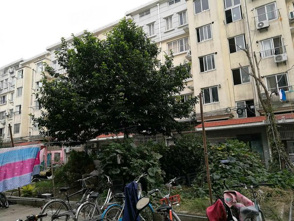 上海小区 闵行小区 老闵行小区 > 丽园小区  实景图 1/ 27  &