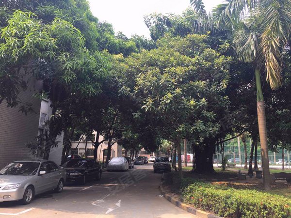 龙都花园,龙珠二路1号-深圳龙都花园二手房,租房-深圳安居客