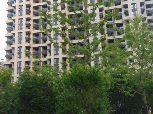 德信浙旅东宸 天城路 杭州德信浙旅东宸二手房 租房 杭州安居客