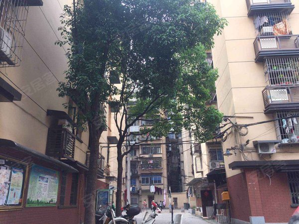 枇杷山后街小区,枇杷山后街44号 - 重庆枇杷山后街小区二手房,租房