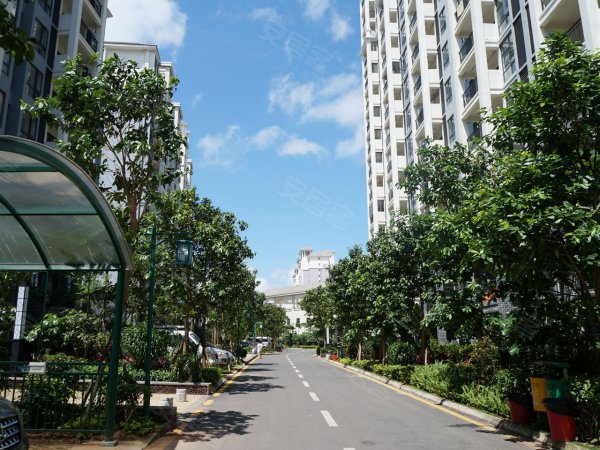 三亚陵水《清凤椰林湾》精致小洋房 深得大众喜爱精装160万起