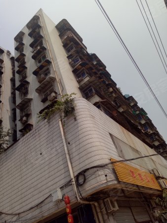 沙坪坝二手房 凤天路二手房 四季家房产 万科金色悦城店 莫树芳的店铺