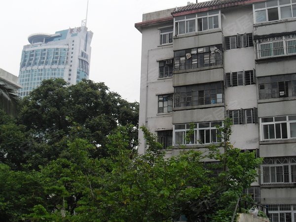 深圳小区 福田小区 笔架山小区 华新村 实景图 1/ 30  