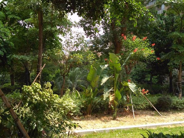 福州小区 连江小区 县城小区 格林威治 实景图 1/ 30  