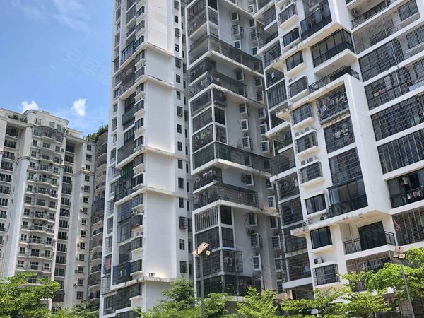 金环大厦,金鼎路 - 海口金环大厦二手房,租房,房价-海口安居客