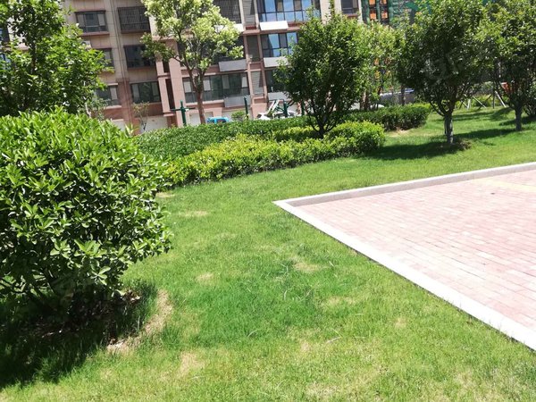 济宁小区 嘉祥小区 嘉祥城区小区 祥炬家园实景图 1/ 9  