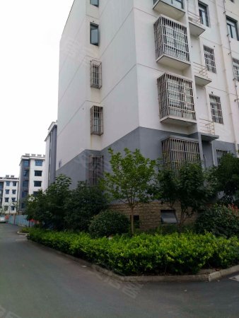 紫来华府小平方两房出售,价格合理