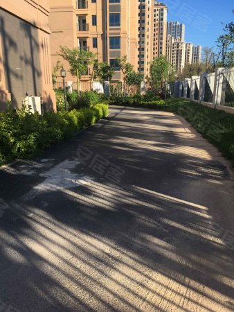 厦门一中尚书房附近 佳隆花园大三居出租 不用物业费哦