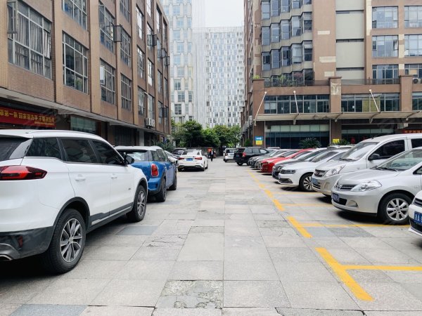 正规实体办公室出租 一对一地址挂靠 变更代理记帐一条龙服务