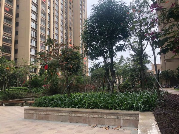 湛江小区 吴川小区 吴川城区小区 海逸半岛 实景图 1/ 20  &