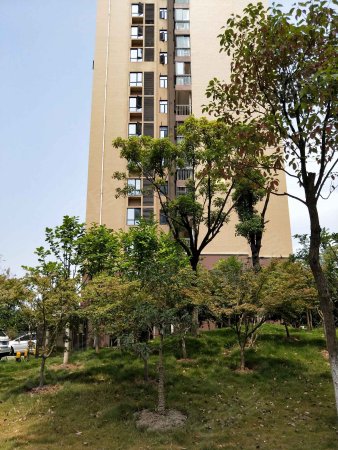 白菜价,房枫桦苇岸精装两房降价6万家私电器都留下,急于出售