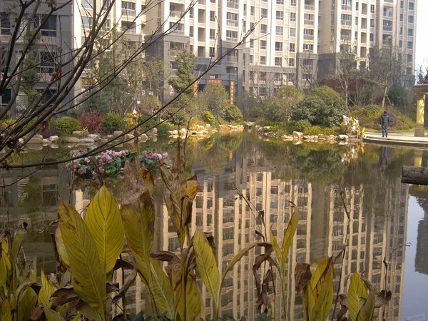 世茂铂翠湾(一期)