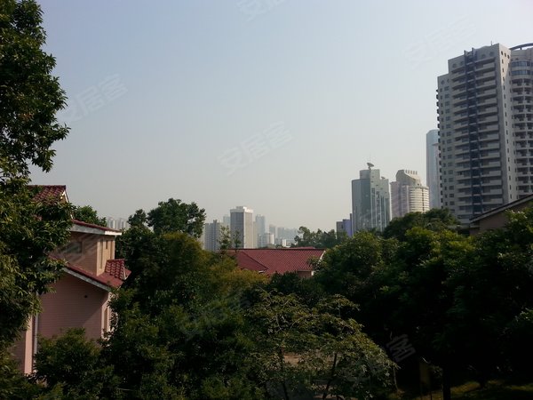 龟山别墅 沿山路 深圳龟山别墅二手房 租房 深圳安居客