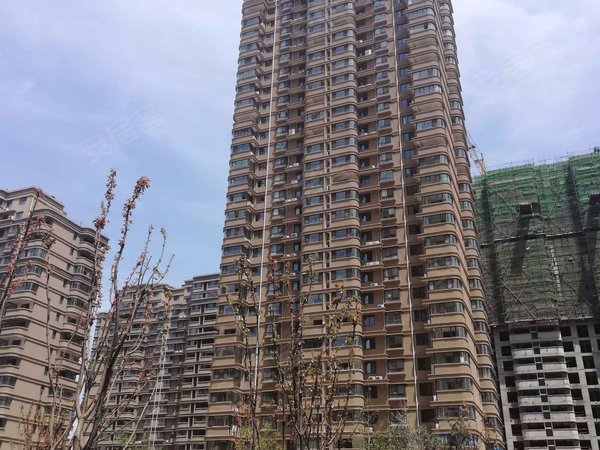 金都华府,青年路-菏泽金都华府二手房,租房-菏泽安居客