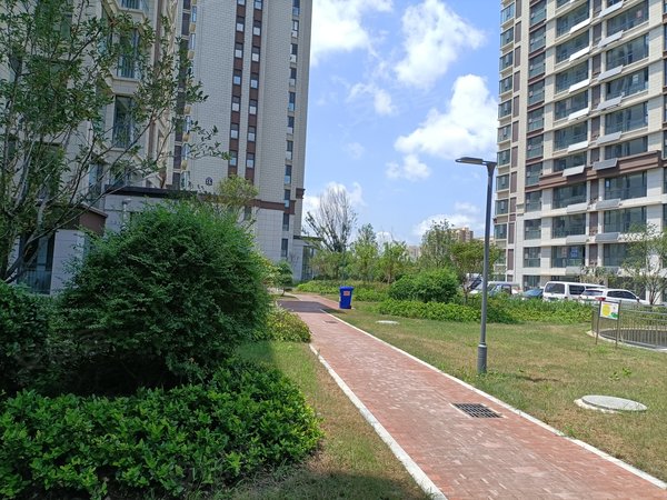 临沂小区 费县小区 费县城区小区 宝信龙港实景图 1/ 13  &