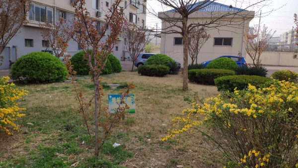 利园小区3室2厅114㎡房东房源