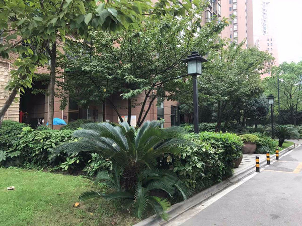 武汉小区 武昌小区 积玉桥小区 华润置地凤凰城实景图 1 24#xe023
