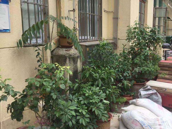 济宁小区 任城小区 人民公园小区 马驿桥小区实景图 1/ 17  &