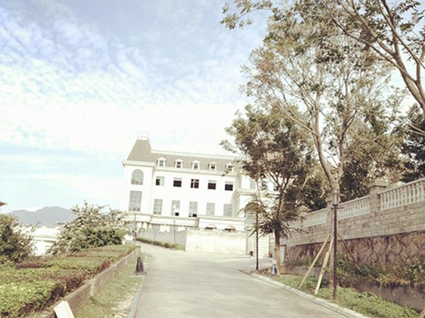 100以上新店玫瑰中国城房价3045 新店玫瑰中国城房价 Kabegamiqitasxpr