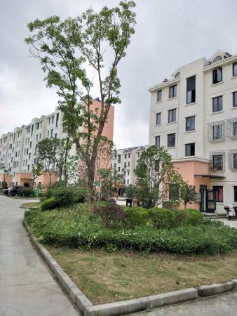 小户型总价低,产权住宅挂上海户口,看房方便。