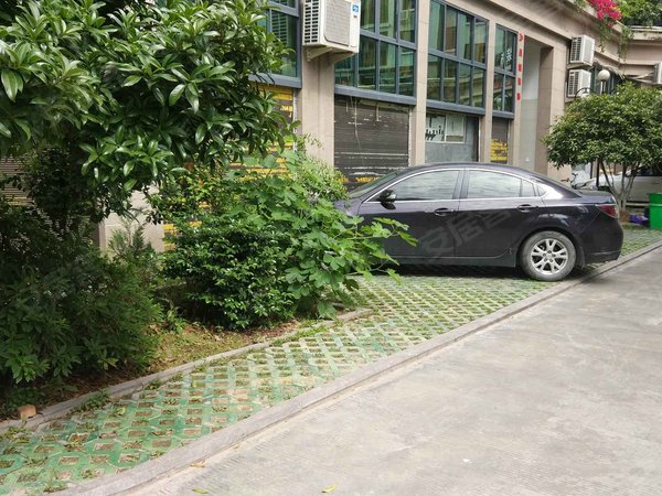 温州小区 平阳小区 鳌江小区 温州巴黎城实景图 1/ 11  