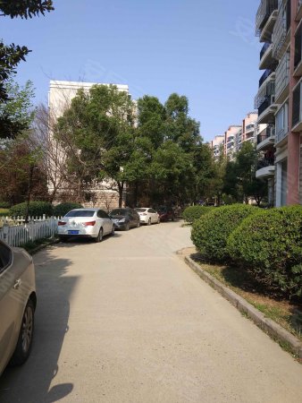 浅水湾135平225万低 价出售.奥体小学50中新区.