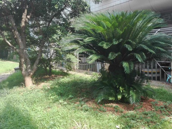 湖南省交通科学研究院宿舍