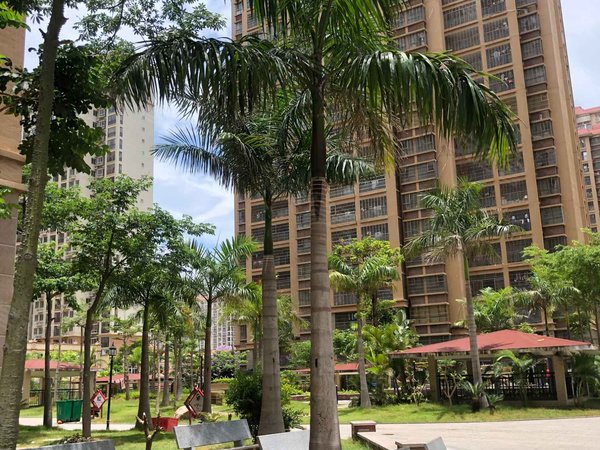 新港城第六社区