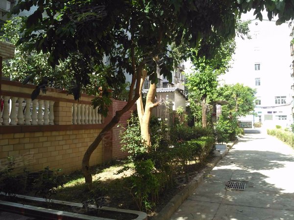 南威中心花园 布吉-南岭-湖东路58号