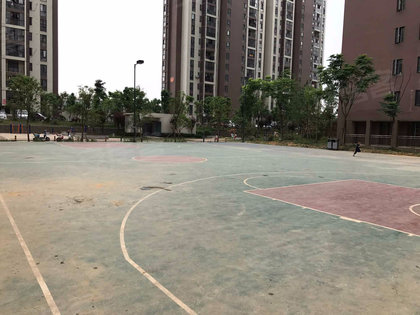 左岭社区人口_社区人口普查照片