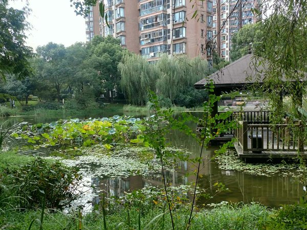 春申景城湖畔林语