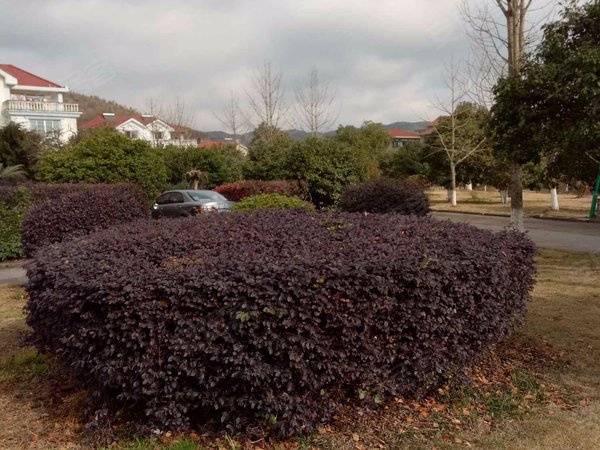 塔山花园,塔山路242号 - 象山塔山花园二手房,租房,房价-象山安居客