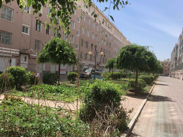 光明花园(辽中),中心街55-1号 - 沈阳光明花园(辽中)二手房,租房,房价