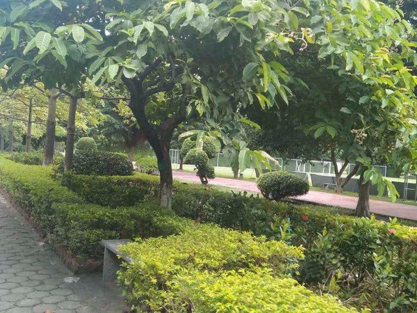 广州小区 南沙小区 金洲小区 上湾小区实景图 1/ 14  