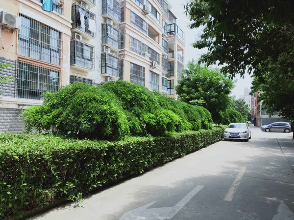 杨柳国际新城(b区)