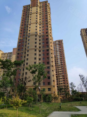 性价比高,随时看房, 城建金河湾二手房, 3室2厅2卫, 125万元 - 滕州58