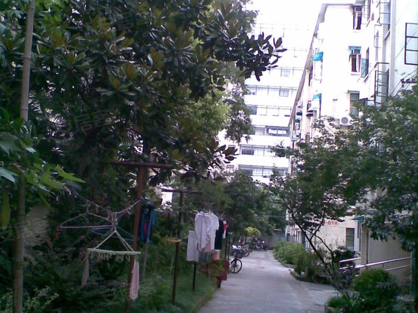 建德小区 建德路1号 上海建德小区二手房 租房 上海安居客