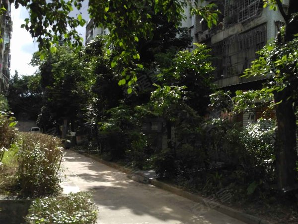 南威中心花园 布吉-南岭-湖东路58号