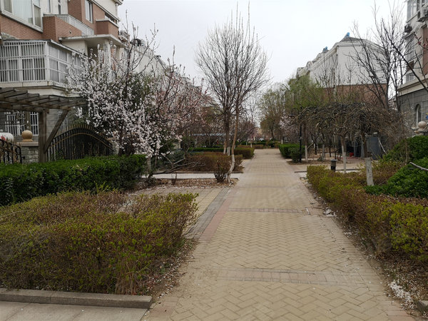 海韵阳光 昌乐路 烟台路465号 东营海韵阳光二手房 租房 东营安居客 海韵阳光 昌乐路 烟台路465号 东营海韵阳光二手房 租房 东营安居客