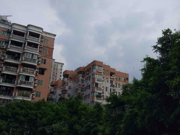 龙口花苑 龙口西路 广州龙口花苑二手房 租房 广州安居客