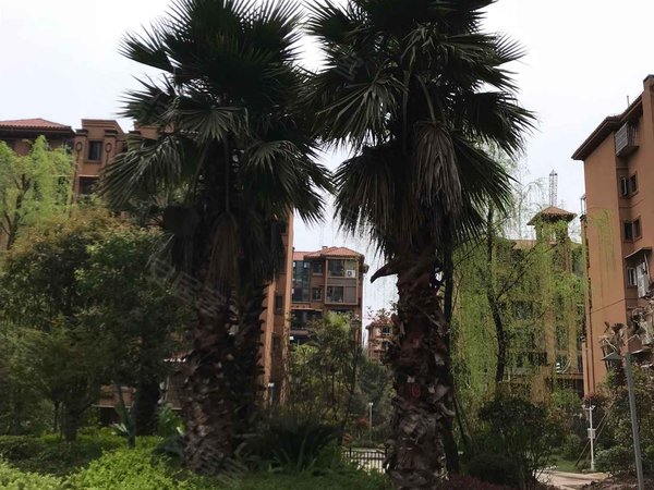 重庆小区 垫江小区 垫江城区小区 尚品今典实景图 1/ 8  