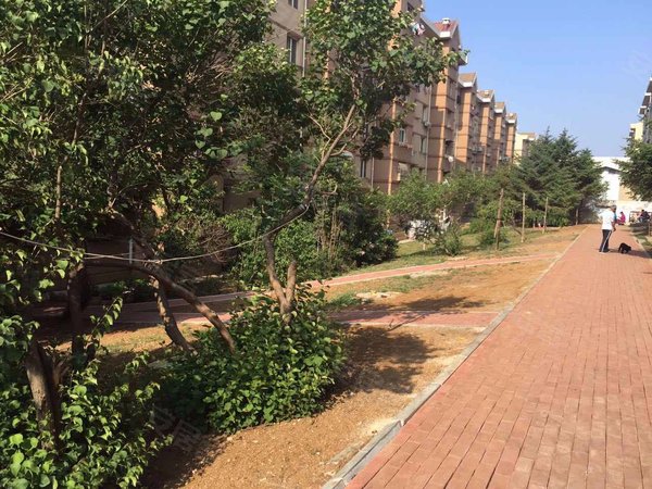 大连小区 甘井子小区 欣乐公园小区 泡崖七区 实景图 1/ 17 