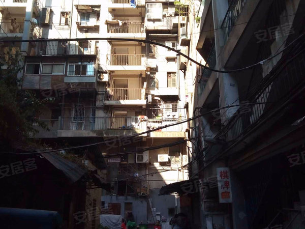聚焦关键小事 江苏连云区写“枝叶关爱”治理答卷