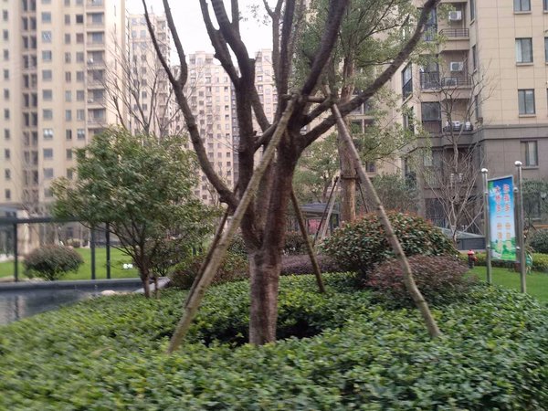 华章御树湾
