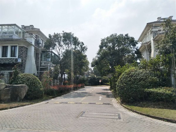 绿地21城b区(别墅)