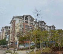莆田下黄小区人口_莆田下黄小区