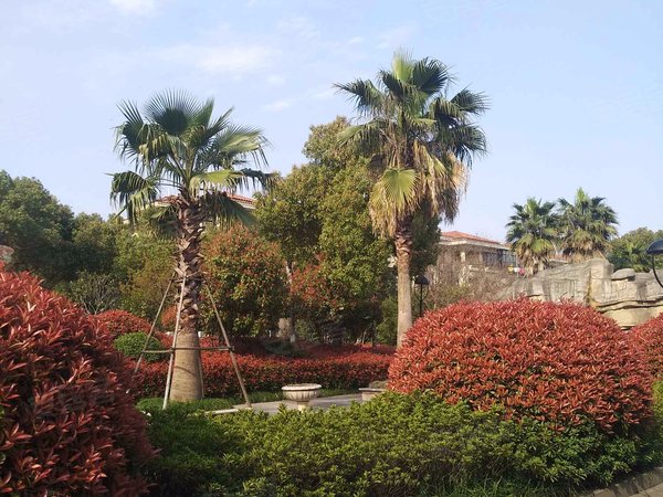 嘉兴小区 桐乡小区 桐乡市区小区 碧水雅苑实景图 1/ 10  &